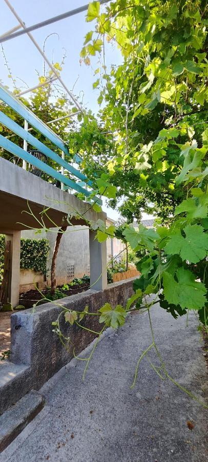 Family House "Pansion Kvarner" Villa ปูนัต ภายนอก รูปภาพ